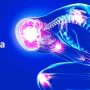 Fibromyalgia Fibromyalgia